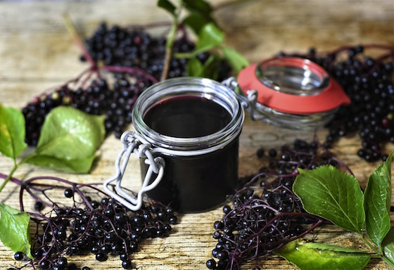 Maigrir avec la tisane de sureau : une cure pour perdre du poids naturellement et sans effort