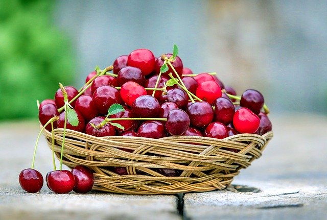 Plantes drainantes : queues de cerise.